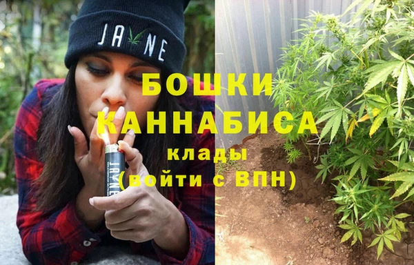 каннабис Новокубанск