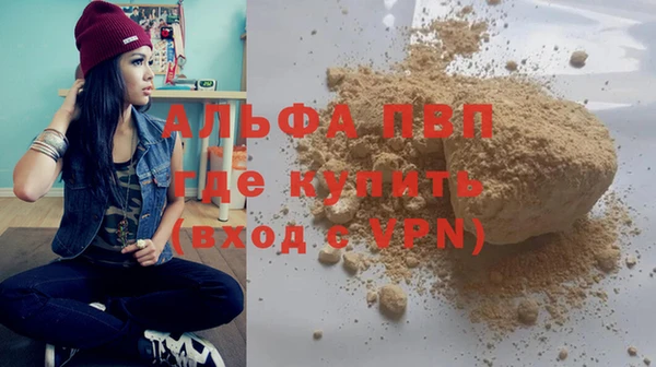 шишки Дмитровск