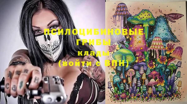 соль ск Нефтегорск
