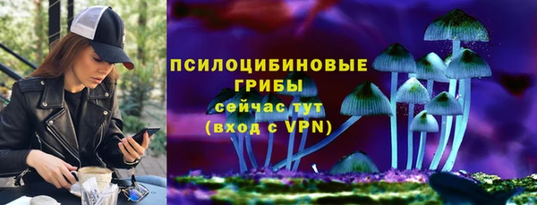 соль ск Нефтегорск