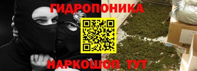 крисы Берёзовский