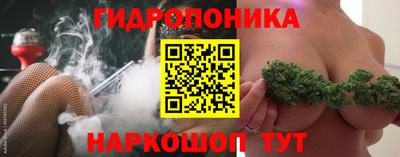 амф Гусев