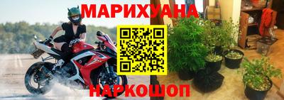 амф Гусев