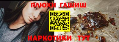амф Гусев