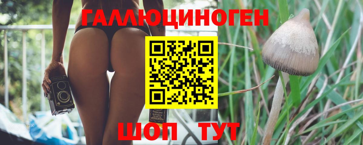 Псилоцибиновые грибы мицелий  Переславль-Залесский 