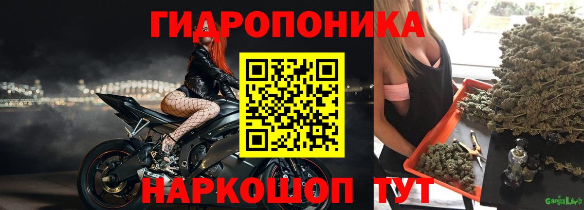 Бошки Шишки семена  Шишки марихуана SATIVA & INDICA  Переславль-Залесский  Вход с VPN  Каннабис индика 